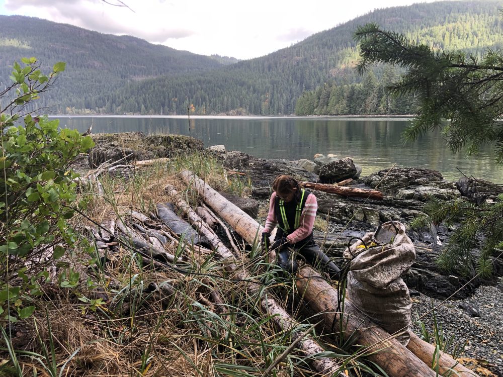 Person pulling marine debris out of logs