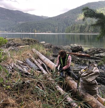Person pulling marine debris out of logs