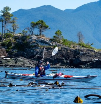 A happy kayaker paddling through a kelp bed