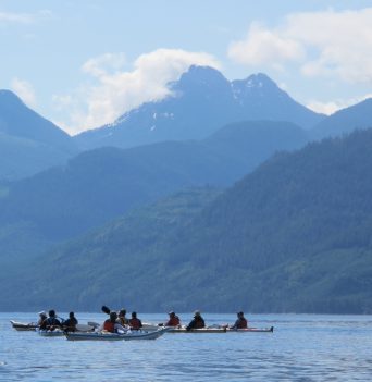 A group kayaking in the Johnstone Strait