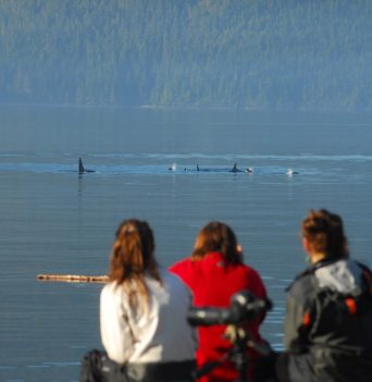 A family whale watching from shore in the Johnstone Strait