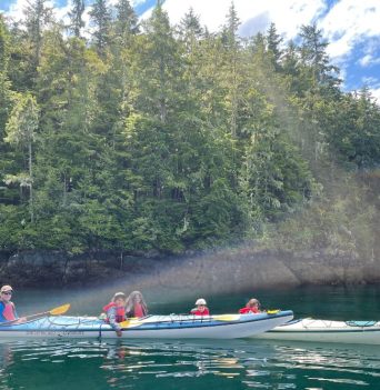 A family kayaking on sunny day in the Johnstone Strait