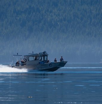 A water taxi going through the Johnstone Strait