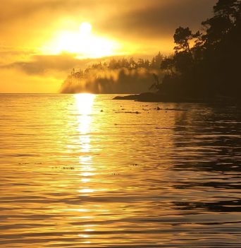 A yellow sunset over the water in the Johnstone Strait