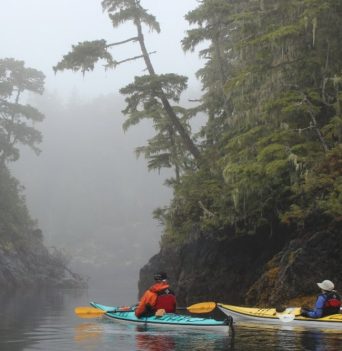 Kayakers paddling through narrow passage in fog