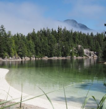Sandy cove with BC coastal mountains