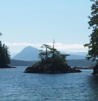 Small island along the Johnstone Straight