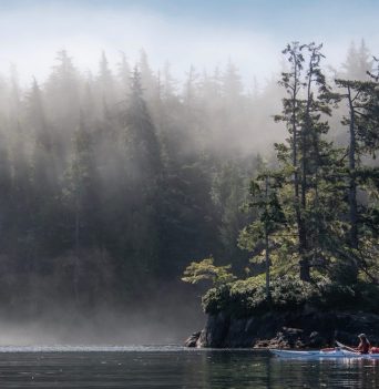 Kayaker on calm water in front of foggy BC forest