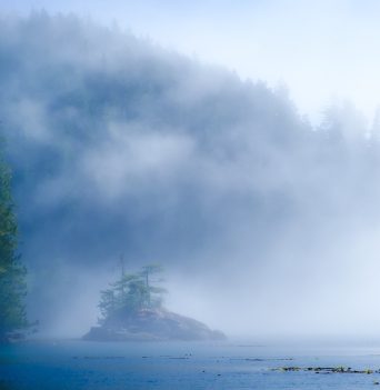 Foggy island and forest along the BC coast