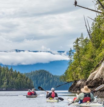 Group of kayakers with BC coastal mountains in distance