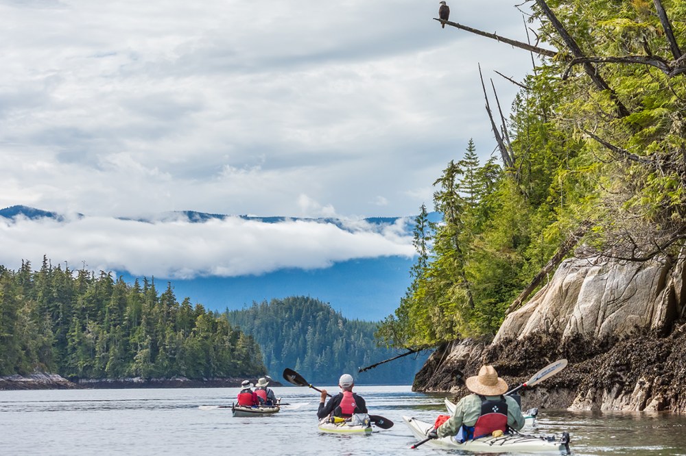 Group of kayakers with BC coastal mountains in distance