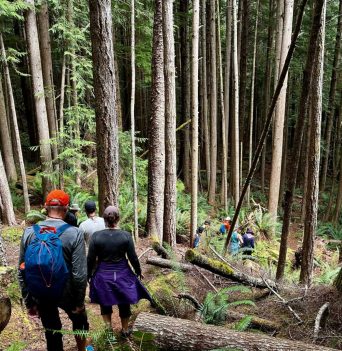 Guests hiking through BC Coastal rainforests