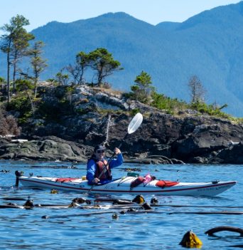 Kayaker paddling through kelp beds with a rocky coast in the background