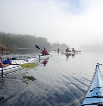 Group kayaking trips Vancouver Island