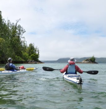 Two kayakers paddle towards sea stack