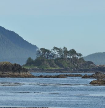 Small island nuchatlitz