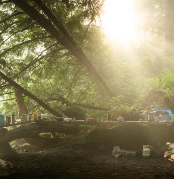 Hazy morning camp kayak tour