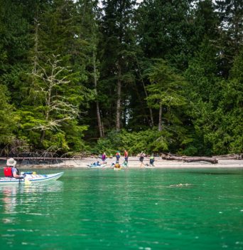 Hidden Bay nuchatlitz sound