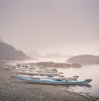 Kayaks parked on hazy beach