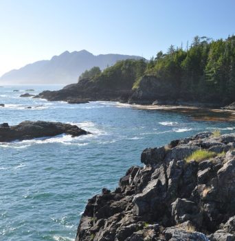 Rocky shores and sea stacks