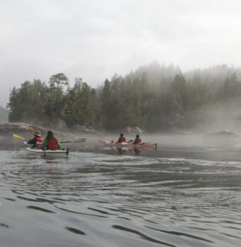 Kayak group paddling through fog