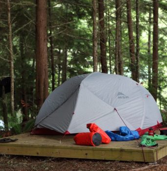 Tent site nestled in the forest