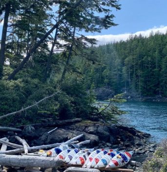 Kayaks docked on logs with BC forest in background