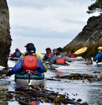 Group of kayaker in rocky passage