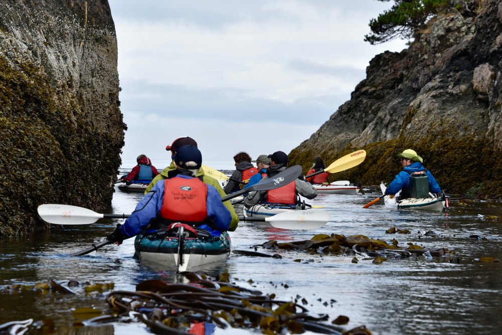 orca kayaking trip