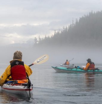 Group of kayakers paddling through foggy coast