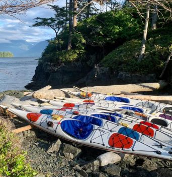 Kayaks docked on logs
