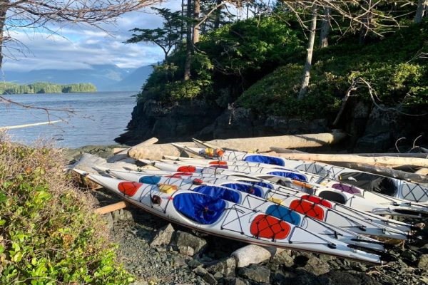 Kayaks docked on logs