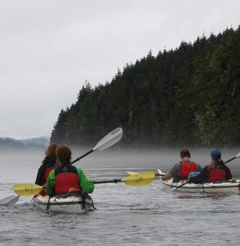 Two twin kayaker paddling into the fog