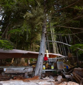 Rustic wooden campsite on the shore