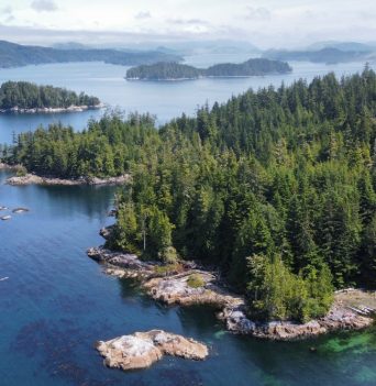 Arial view of blackfish sound with kayaks