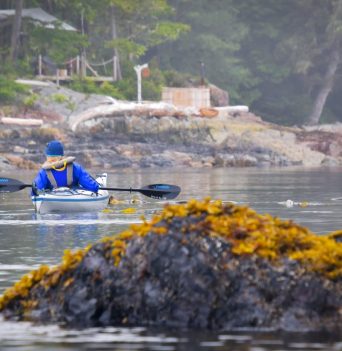 Kayaker paddling back to camp in Blackfish sound