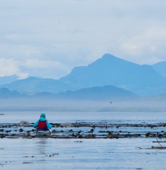 Kayaker paddling under the marine layer with coastal mountain backdrop