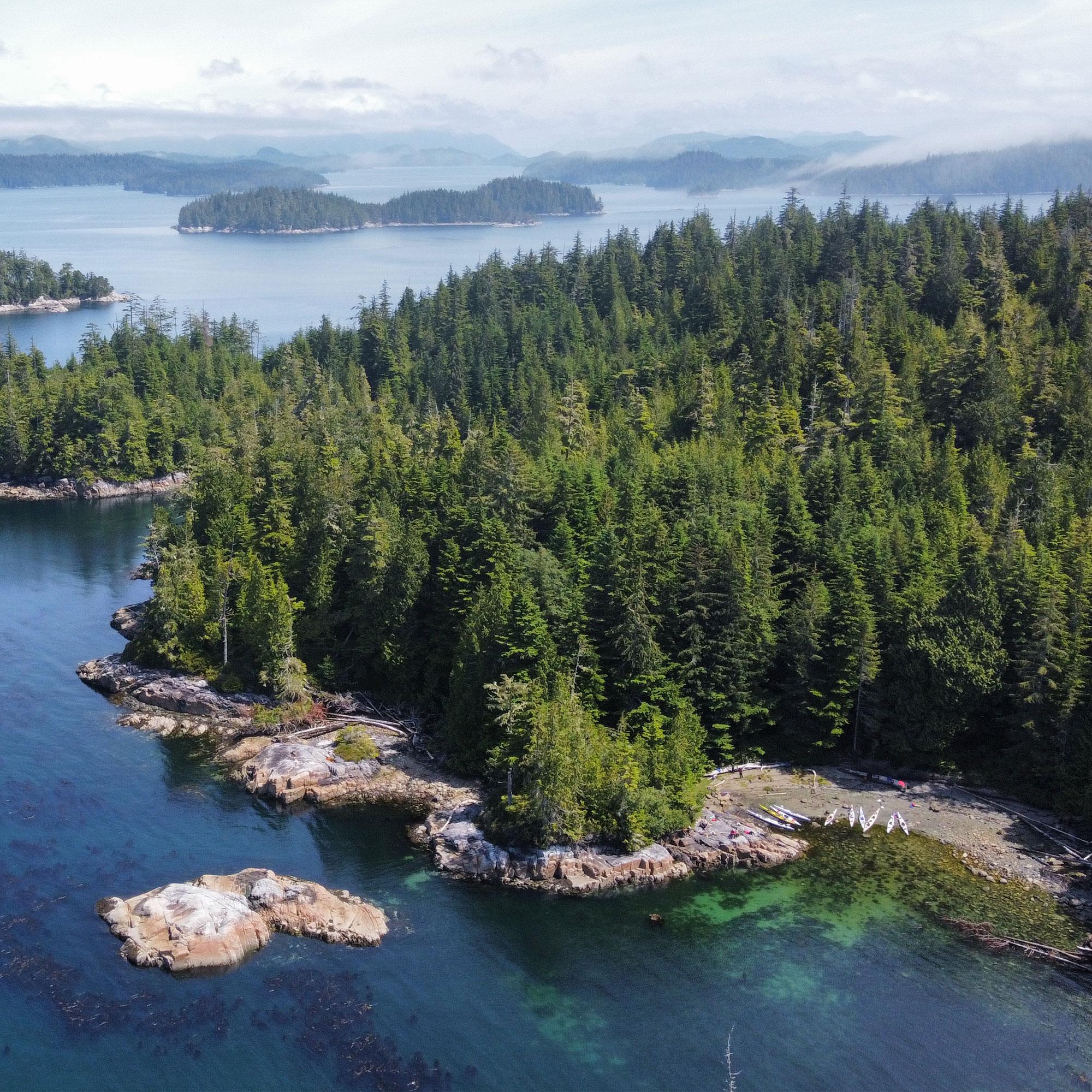 Aerial of Dense Forested Island and Rocky Shoreline in Coastal BC