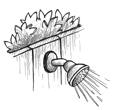 Outdoor shower graphic