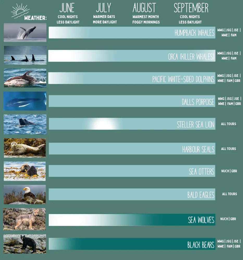 Graphic depicting the best time to see wildlife and the seasonal weather in coastal BC