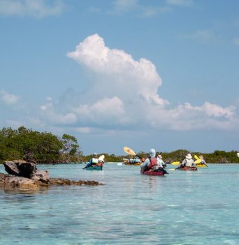 A group of kayakers paddling in The Bahamas