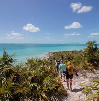 People walking down a trail to the ocean surrounded by tropical plants