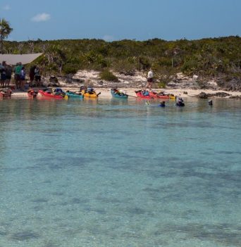 A group of kayakers launching multi-coloured kayaks on a sandy beach