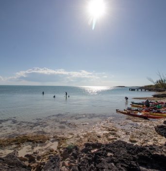 People snorkelling in the Bahamas
