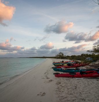 A row of kayaks on a sandy beach in the Bahamas