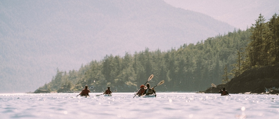 A group of kayakers paddling together along a BC coastline