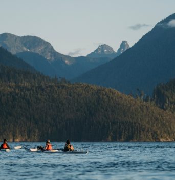 A group of kayakers paddling along the coast in BC