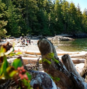 A group of people eating lunch on a beach from afar