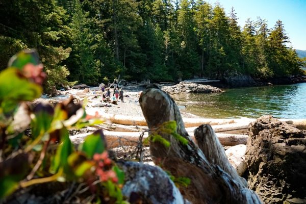 A group of people eating lunch on a beach from afar