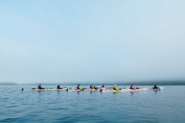 A group of kayakers resting in open water on a foggy morning